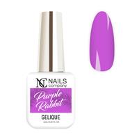NC wond Purple-Rabbit-13164