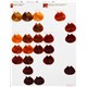 lor majirel paleta 6.JPG-28414