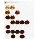 lor majirel paleta 2.JPG-28430