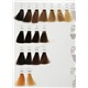 AlterEgo Techno Fruit Color farba 100ml
