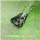 Makear 624 lakier hybrydowy 8ml kolekcja Daisy-Optimism