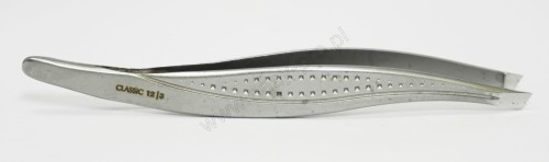 staleks peseta TC-12-3.JPG-4364