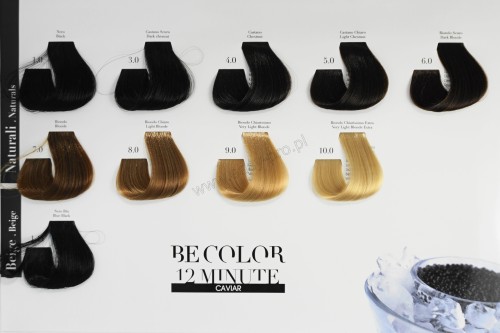 karta be color 1.JPG-3419