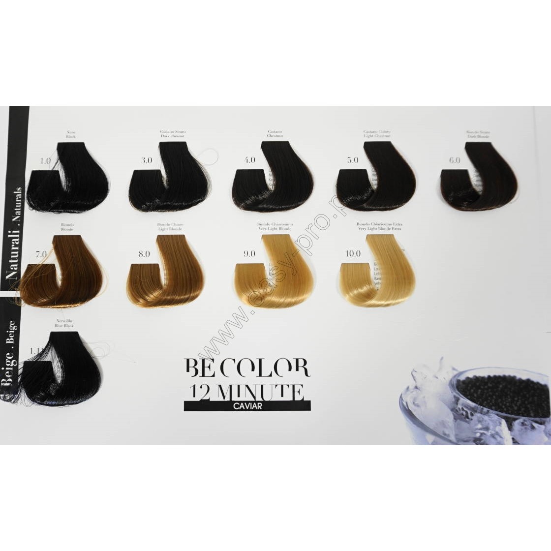be-color-karta-kolorow